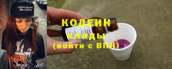 спиды Дмитриев