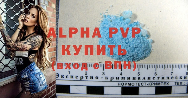 спиды Дмитриев
