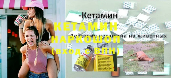 гашик Ельня